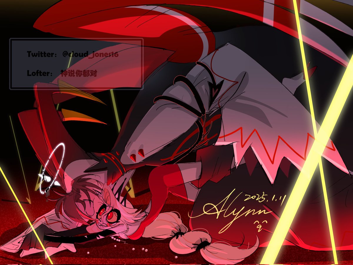 贝壳街🐚 tweet media