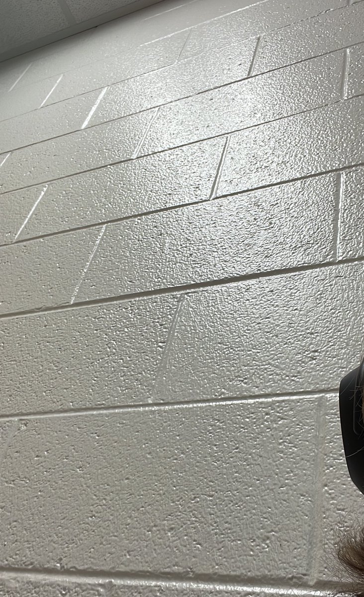 gta lazlow tweet media