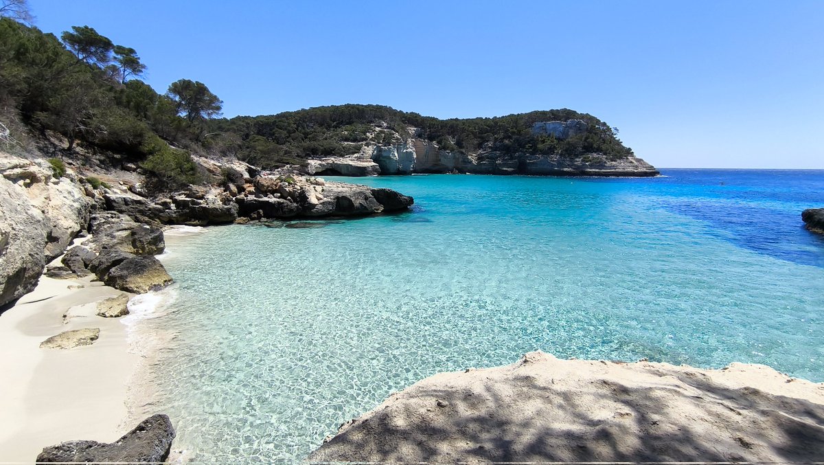 ptsp86's tweet image. Para animar os socialistas