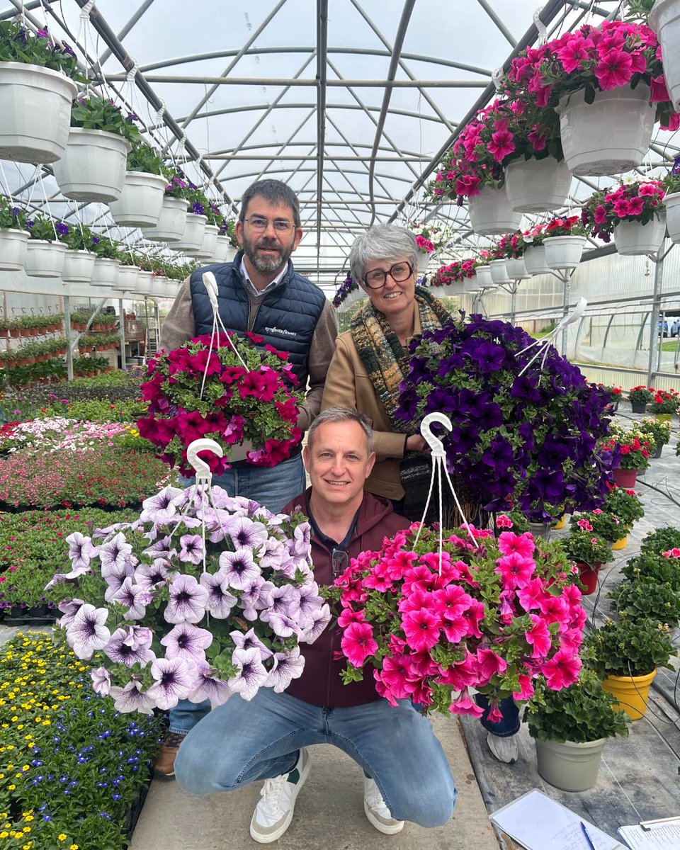 Syngenta Flowers tweet media