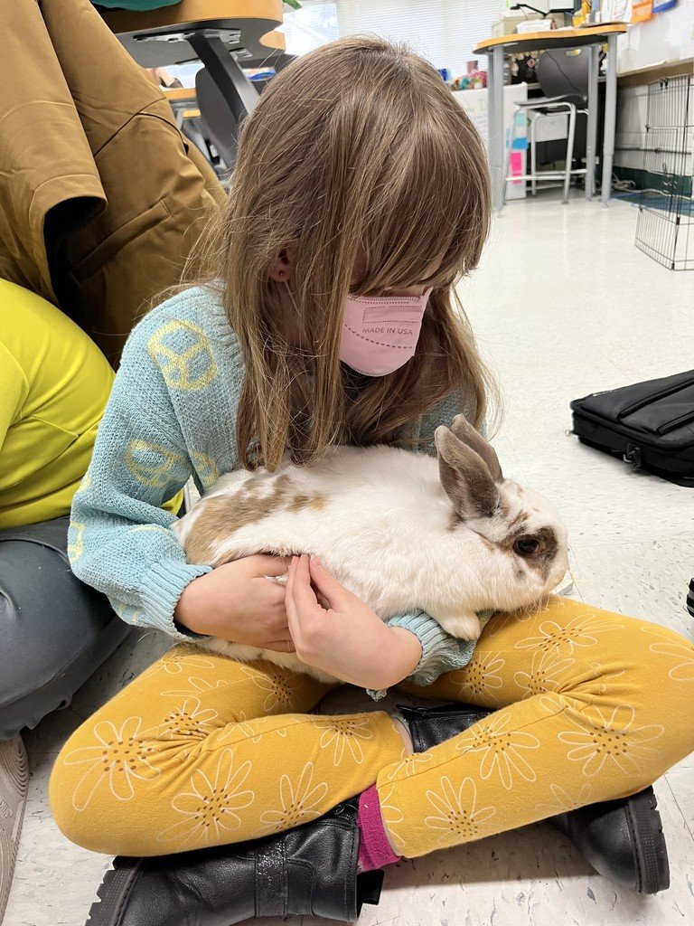 We love our bunnies, Daisy and Leo!
¡Amamos a nuestros conejitos, Daisy y Leo! 🐰❤️🐰
#JeffersonJourney🐝