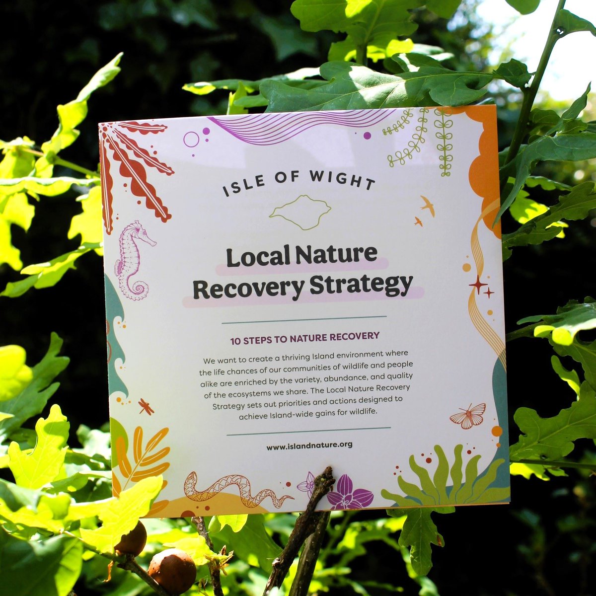 EnvAgencySW's tweet photo. ๐ณ Well done to everyone backing the Isle of Wightโs Local Nature Recovery Strategy. A lot of work has gone into these blueprints for improvement โ read more at https://t.co/50IWwSDMdy
#IsleofWight #LNRS #LocalNatureRecoveryStrategy https://t.co/xidJ6Ikwe5