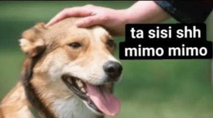 SebbaVidal's tweet photo. @Barto_110 https://t.co/OmbiV9Mx7A