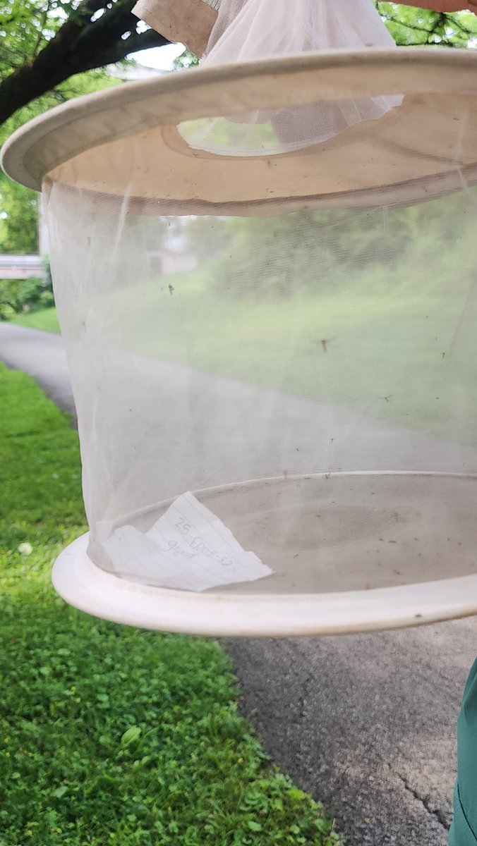 Becky Trout Fryxell tweet media