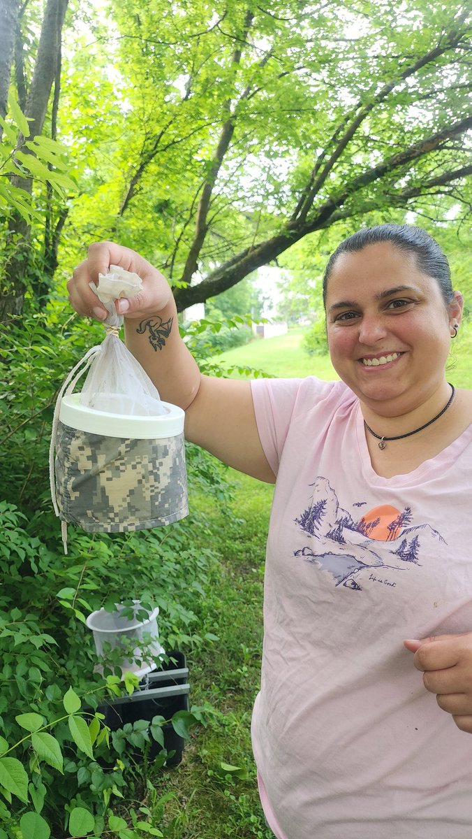 Becky Trout Fryxell tweet media