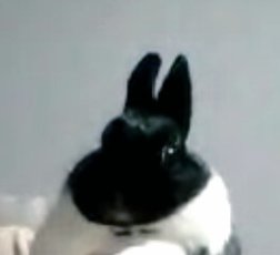 Well- guess I have the answer.