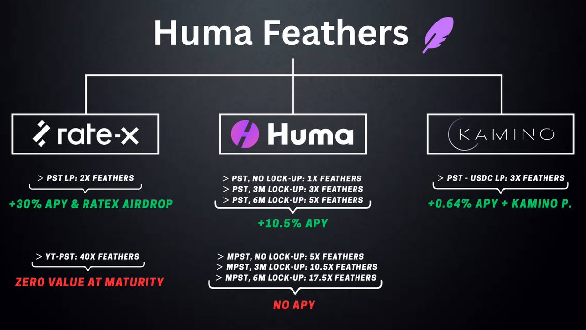I've been farming Huma for months and have over 1 million feathers

Here are the best strategies that helped me accumulate max feathers

 [Get 20x-40x multipliers]  👇🏼🧵