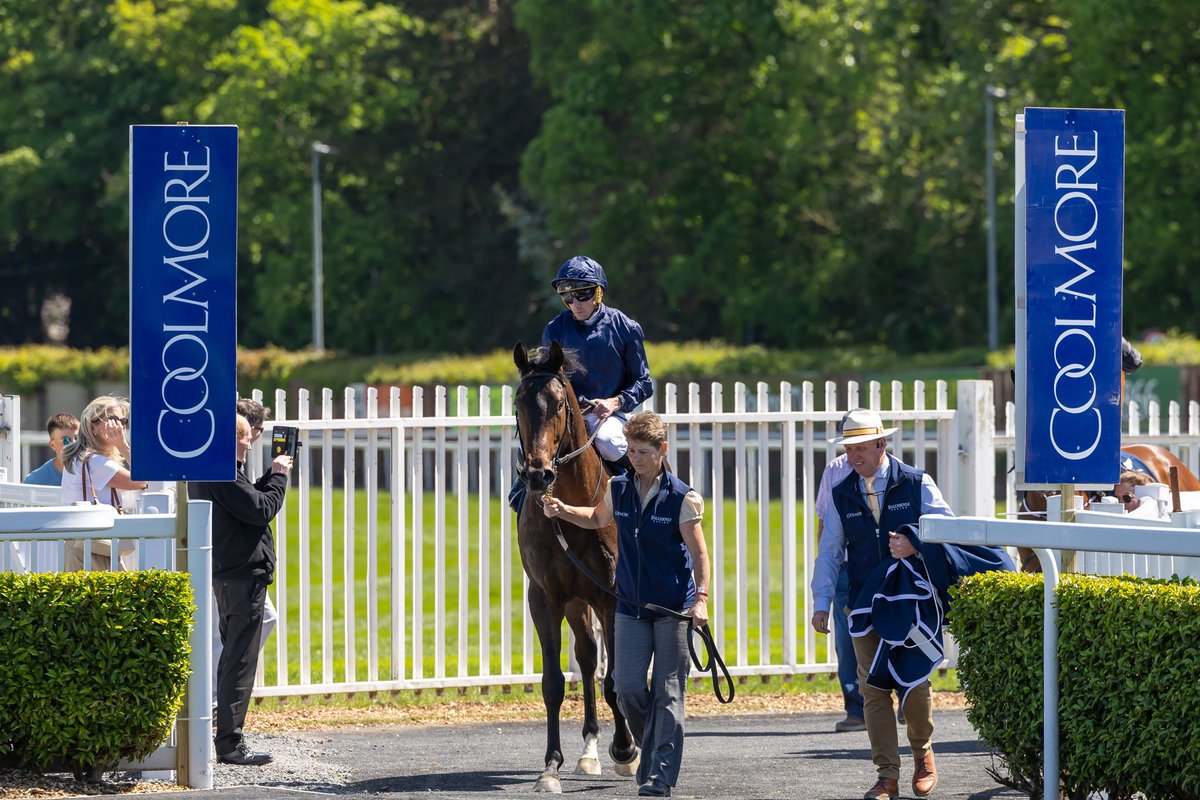 Coolmore (@coolmorestud) on Twitter photo Wonderful weekend cheering home the winners of Coolmore sponsored races ✨
🏆 Matilda was a runaway winner of the Gr.2 CITY OF TROY German 2000 Guineas at Köln for Yasmin Almenrader and Volker Kaufling
🏆 Lady Iman won the Gr.3 BLACKBEARD Fillies Sprint Stakes <a href="/NaasRacecourse/">Naas Racecourse</a> Wonderful weekend cheering home the winners of Coolmore sponsored races ✨
🏆 Matilda was a runaway winner of the Gr.2 CITY OF TROY German 2000 Guineas at Köln for Yasmin Almenrader and Volker Kaufling
🏆 Lady Iman won the Gr.3 BLACKBEARD Fillies Sprint Stakes <a href="/NaasRacecourse/">Naas Racecourse</a>