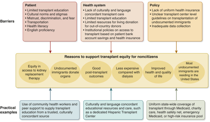 Lilia Cervantes (@cervantes_lily1) on Twitter photo ⭐️Fantastic commentary led by <a href="/katierizzolo/">Katie Rizzolo</a> and <a href="/lelavillegas/">Leonela Villegas, MD</a> on 'The National Landscape of Kidney Transplantation for Undocumented Immigrants: Advancing Kidney Transplantation Equity" in <a href="/Kidney_Int/">Kidney International</a>
sciencedirect.com/science/articl… ⭐️Fantastic commentary led by <a href="/katierizzolo/">Katie Rizzolo</a> and <a href="/lelavillegas/">Leonela Villegas, MD</a> on 'The National Landscape of Kidney Transplantation for Undocumented Immigrants: Advancing Kidney Transplantation Equity" in <a href="/Kidney_Int/">Kidney International</a>
sciencedirect.com/science/articl…