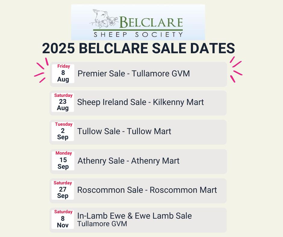 BelclareSheep's tweet photo. ‼️ Belclare Sheep Society sale dates for 2025‼️ 

Exciting year ahead for the Belclare Sheep Society, we have a new premier sale location and date in GVM Group Tullamore Mart. https://t.co/yDbeMIqxh2