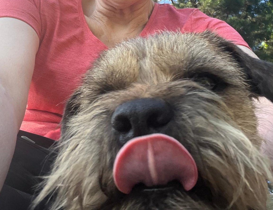 My first 'Tongue out Tuesday.' Warm here today. Had a drink from the lake.