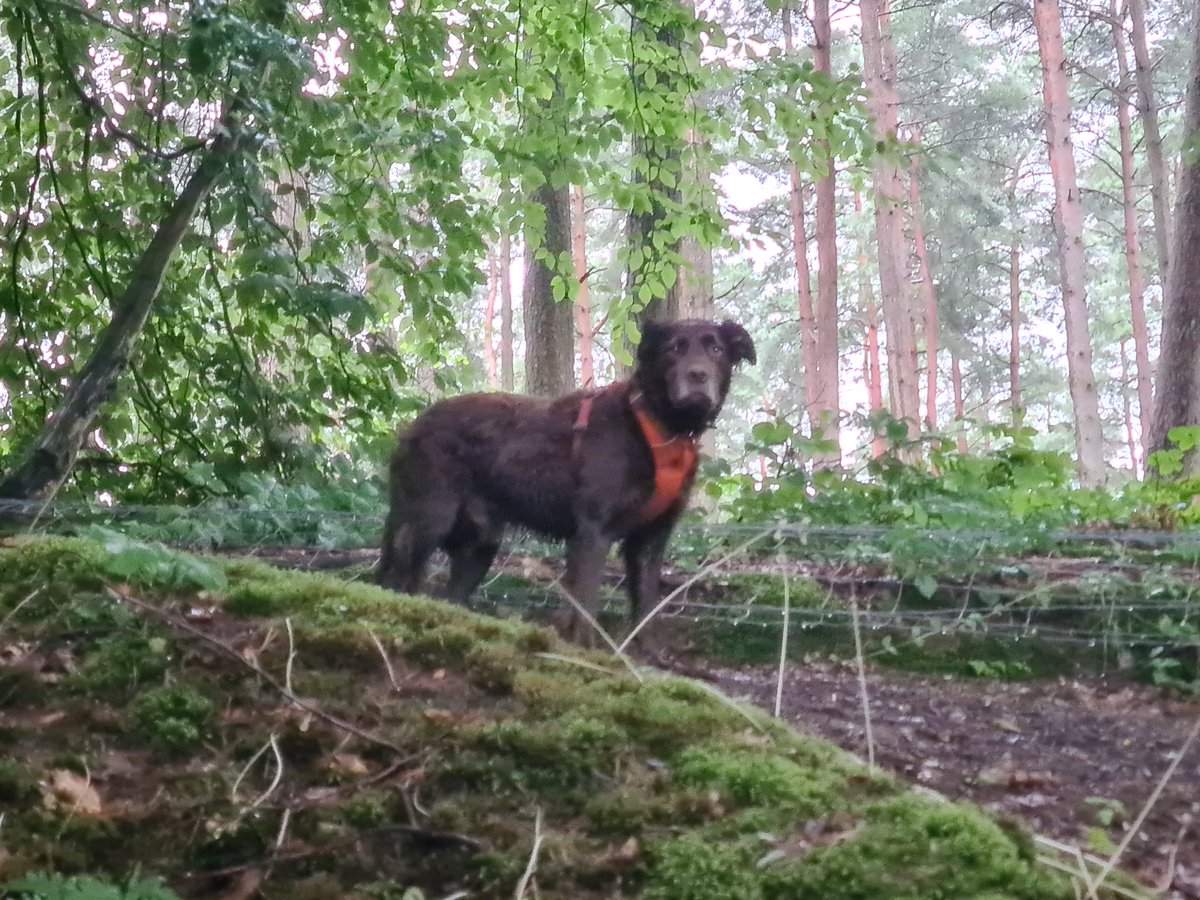 Mike Watts 💙 tweet media