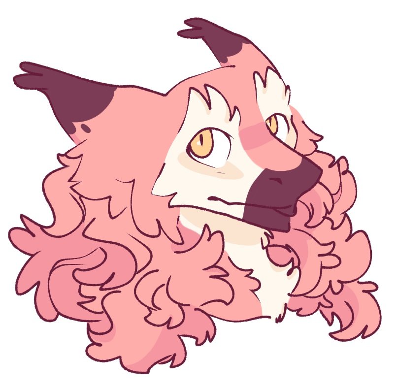 🍓 Mika Fluff 🍓 tweet media