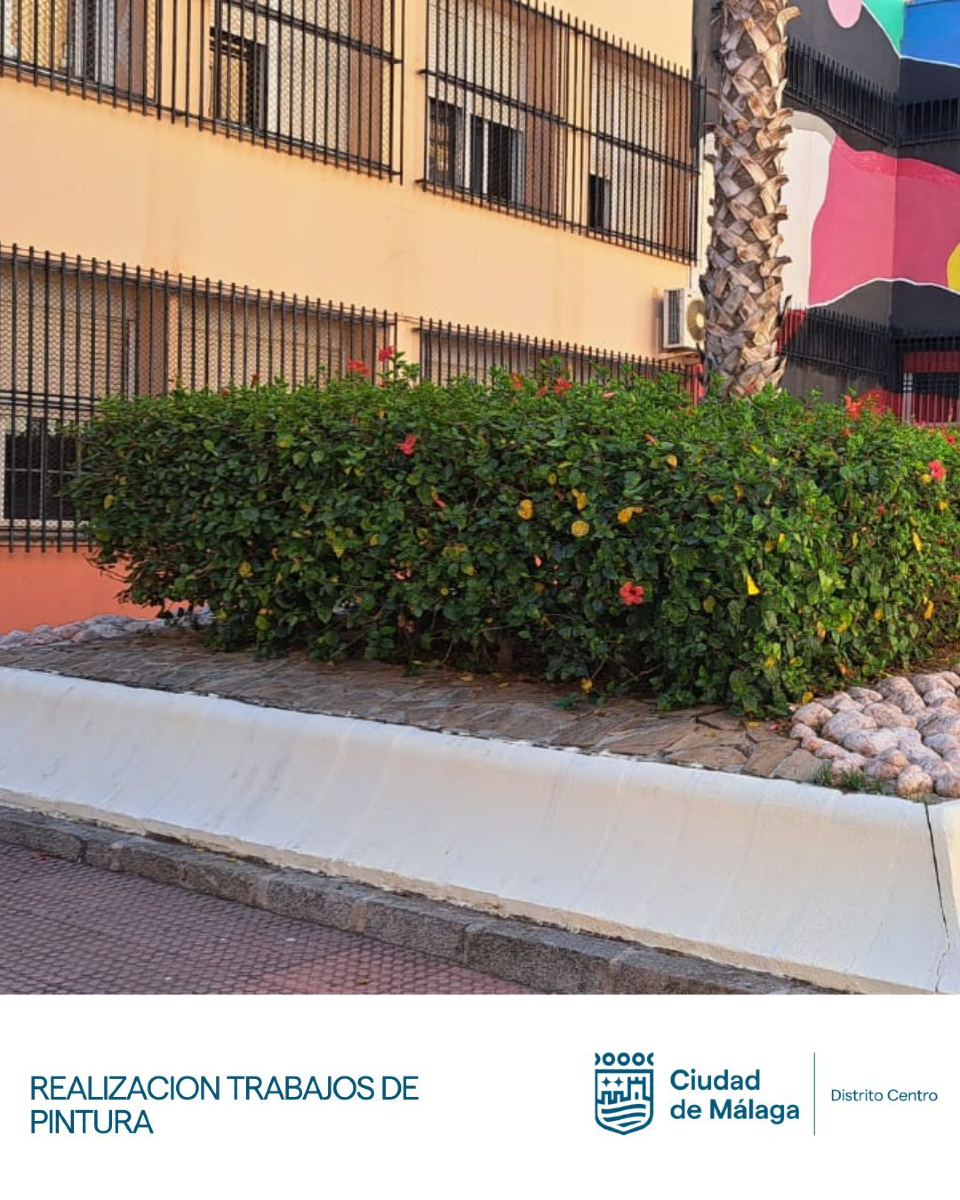 Trabajos de pintura en espacios municipales
Actuamos en Plaza Celedonio Romero, Calle San Millán y Pasaje Benito Marín para renovar.

Ahora toca mantenerlos así de limpios entre todos.
Cuidar el espacio público es cosa de todos.

#DistritoCentro #Málaga