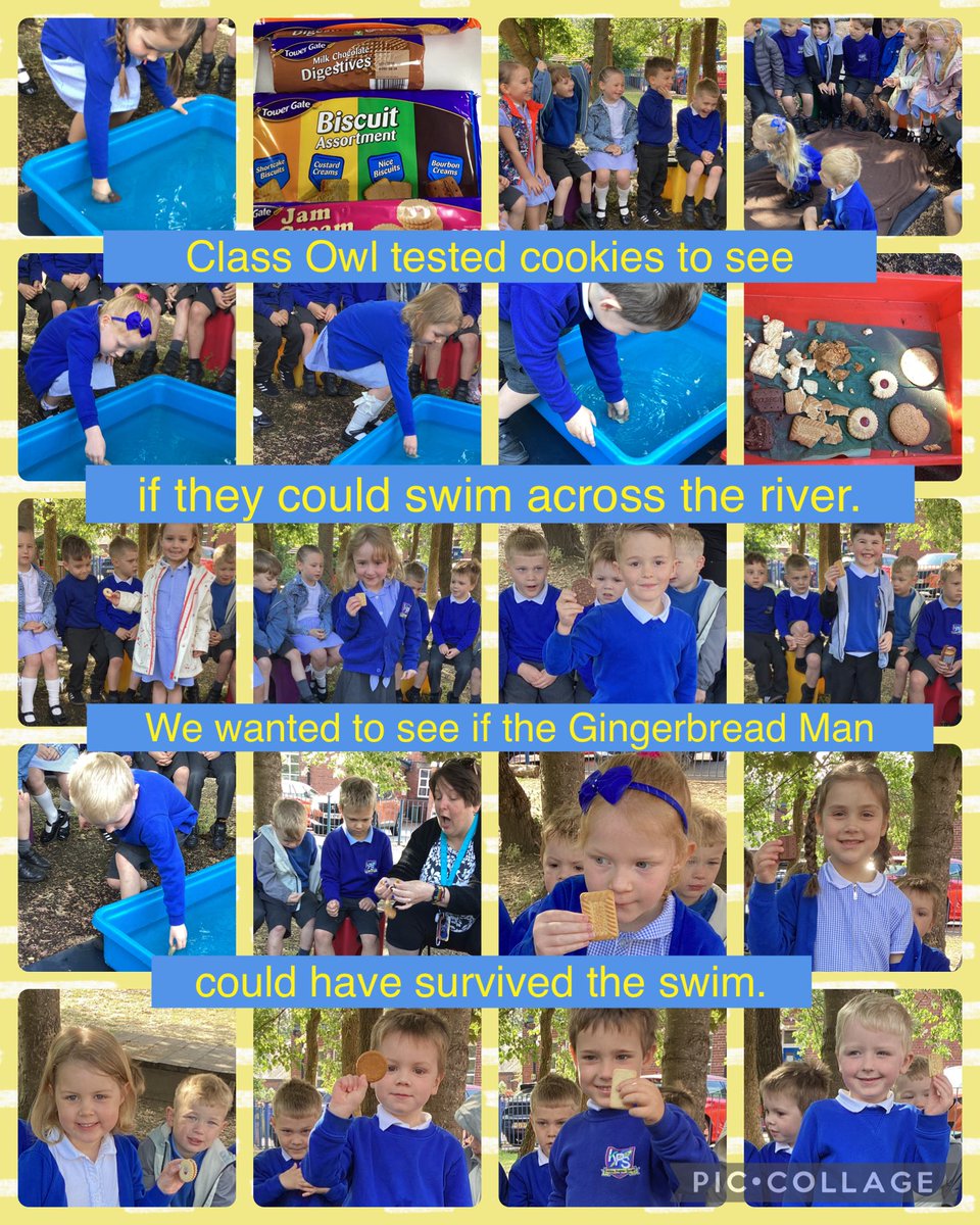 Class Owl were testing cookies to see if they could survive swimming across a river. We don’t think the Gingerbread Man would have survived. We think he should have built a raft!🍪💦💧