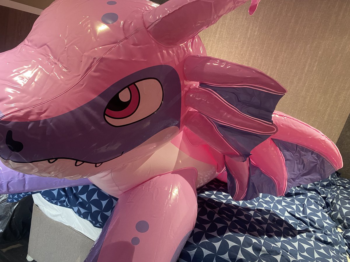 Gaz Thomson (@gazlooner) on Twitter photo Dragon Initiation. Cute pink inflatable seems to be making my bed her new home🥰
<a href="/AmsterdamShosu/">SHOSU Amsterdam</a> Dashy looks great Dragon Initiation. Cute pink inflatable seems to be making my bed her new home🥰
<a href="/AmsterdamShosu/">SHOSU Amsterdam</a> Dashy looks great
