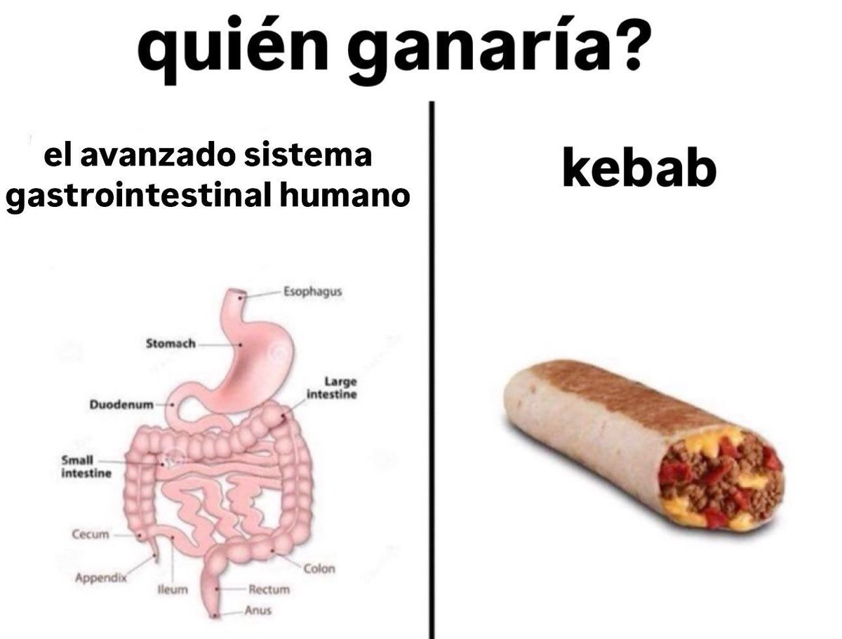 chincheto pirata somali (@wikipistacho) on Twitter photo 