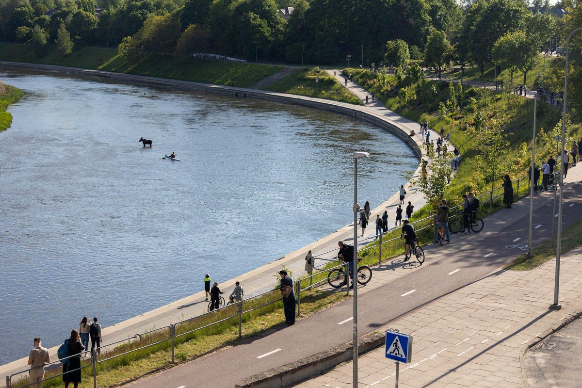 LaimonasNoreika's tweet photo. Vilnius vibes https://t.co/bR14Z3f3Z6
