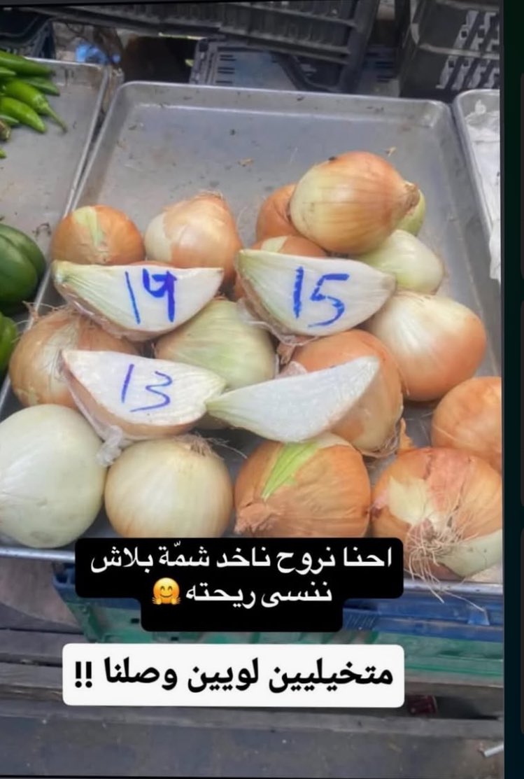 Today, I saw a quarter of an onion being sold for $4 in Gaza. Just a piece of an onion. We can’t afford food anymore. This is what hunger looks like.

Please donate: gofundme.com/f/help-aseel-a…