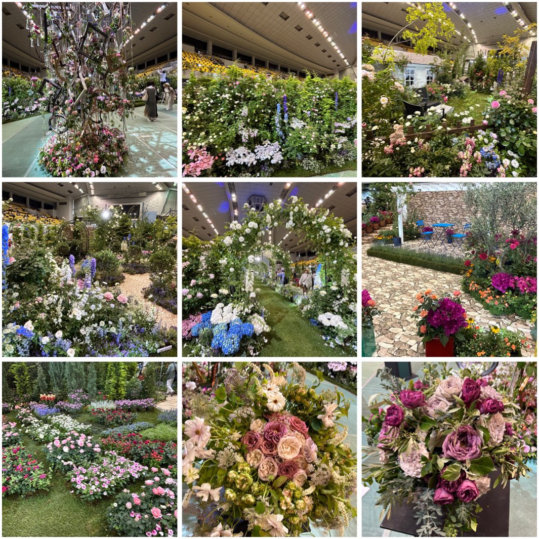 mashako2980's tweet photo. 先週末急遽福山へ
街中がバラ🌹で綺麗でいい香り
幸せな時間でした
私御用達の松尾園芸さんがバラ公園を16000本でリニューアル
とっても綺麗で素敵でした
そして日本初開催のROSE EXPO2025
こちらも素敵なガーデンやアレンジ
行って良かった😊
🌹好きにはたまりません
#福山バラ祭り2025
#ROSEEXPO https://t.co/6gCEthJCXI