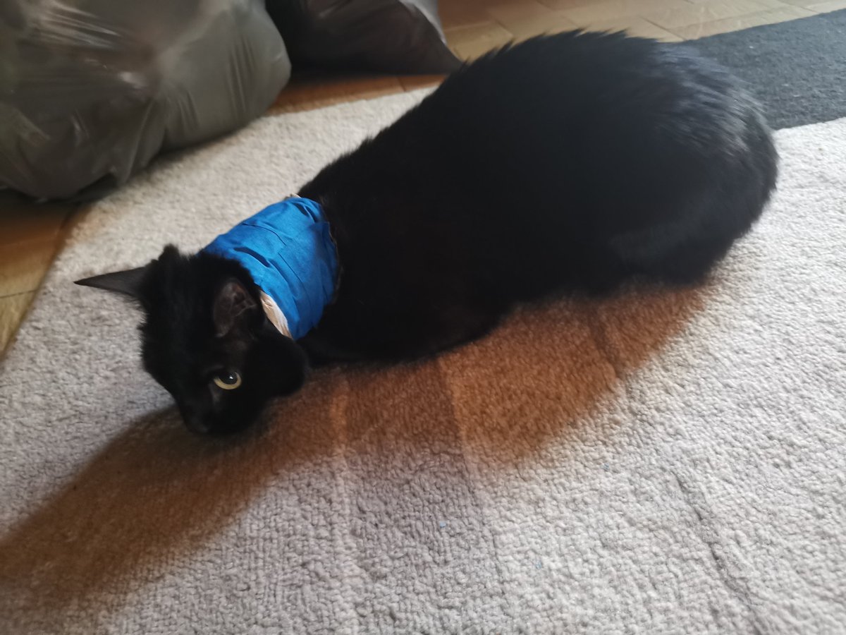 Lisa ✪ MET SEB AHHH tweet media