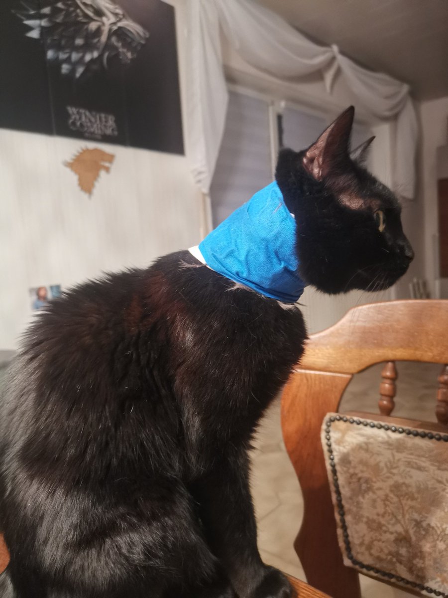 Lisa ✪ MET SEB AHHH tweet media