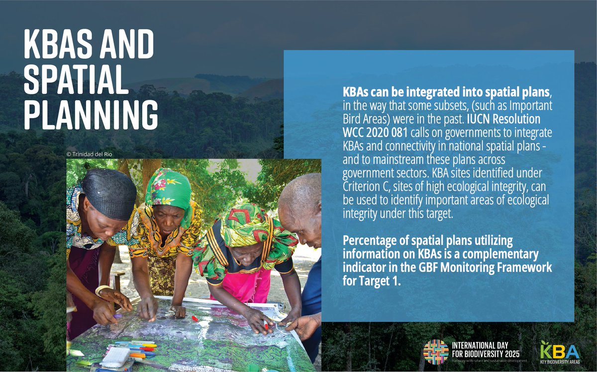 KeyBiodiversity's tweet photo. By prioritizing #KBAs in land-use and marine spatial planning, governments and stakeholders can ensure that development activities minimize impacts on critical habitats, enhance connectivity between ecosystems, and support the ambitious targets of the #KMGBF. https://t.co/yjdVlrf1zb