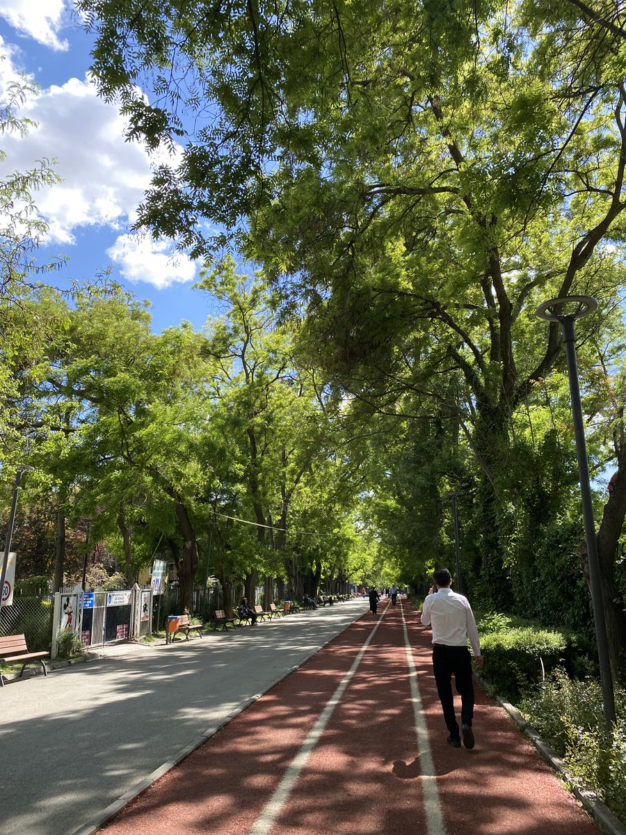 nucr38's tweet photo. Piknik date🧺🍄🌞 https://t.co/R6b3EZGS4E
