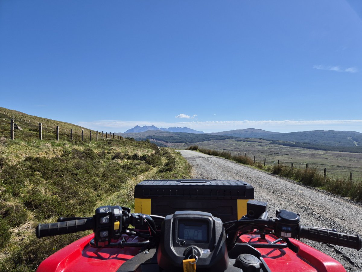 Màrtainn 🏴 🅾️ tweet media