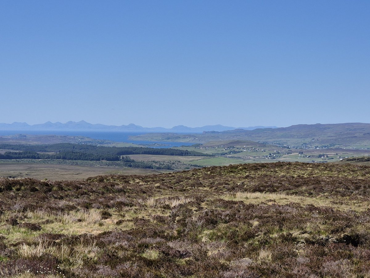 Màrtainn 🏴 🅾️ tweet media