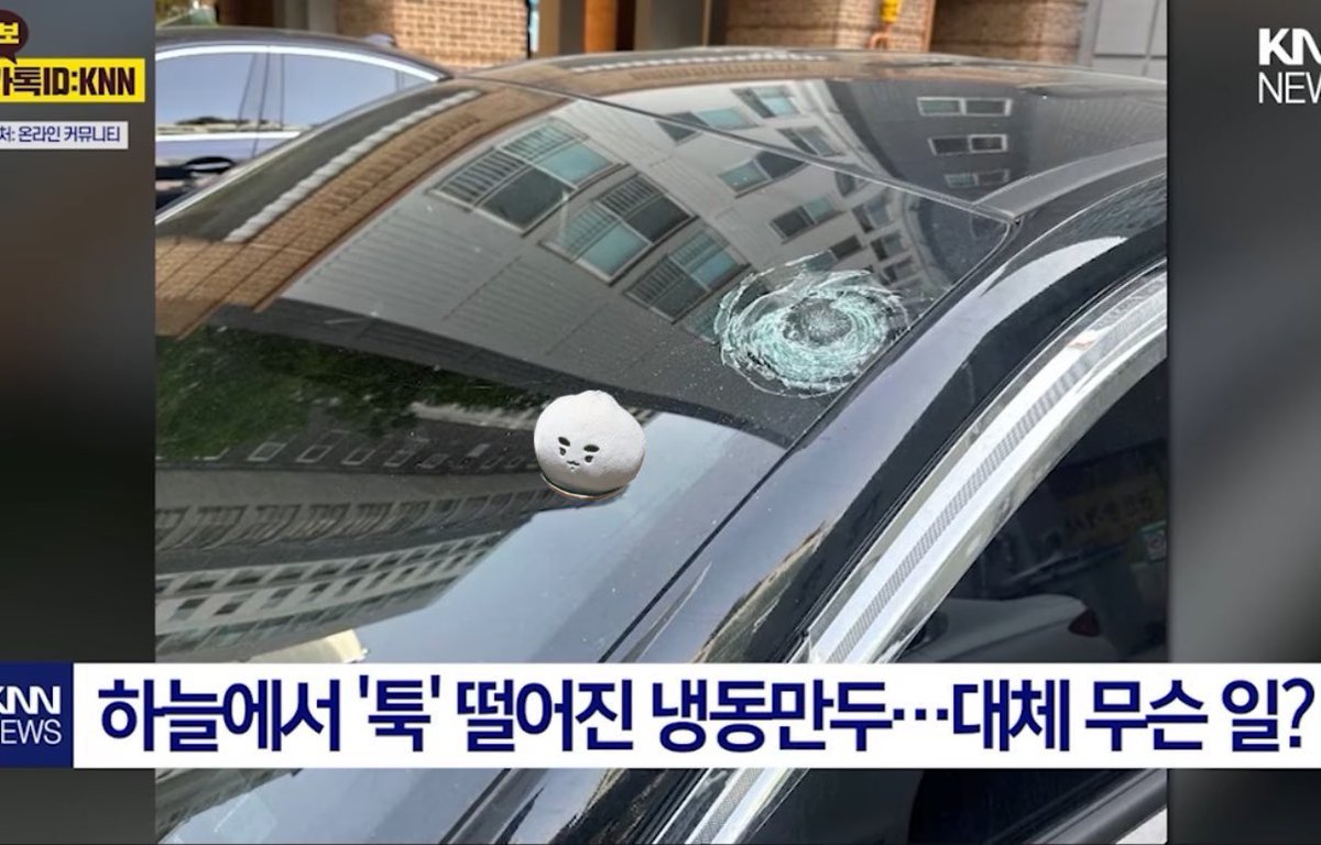 만둥수(3차판매중) tweet media