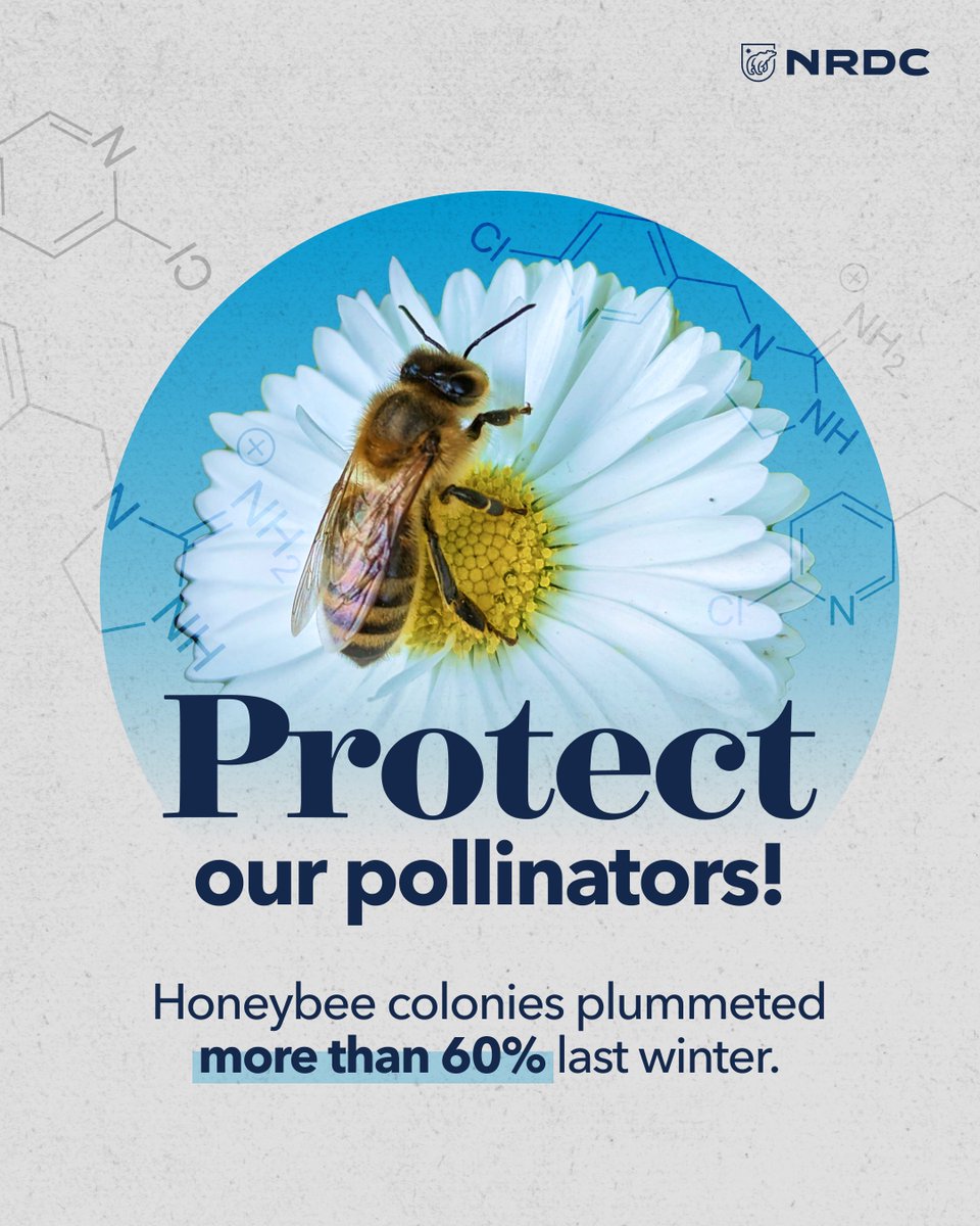 Last winter was the worst for honeybee colony losses, largely due to the unnecessary use of toxic pesticides known as neonics. States like California, New Jersey, New York, and Vermont have taken action to curb neonic use to help bees thrive, setting an example for other states