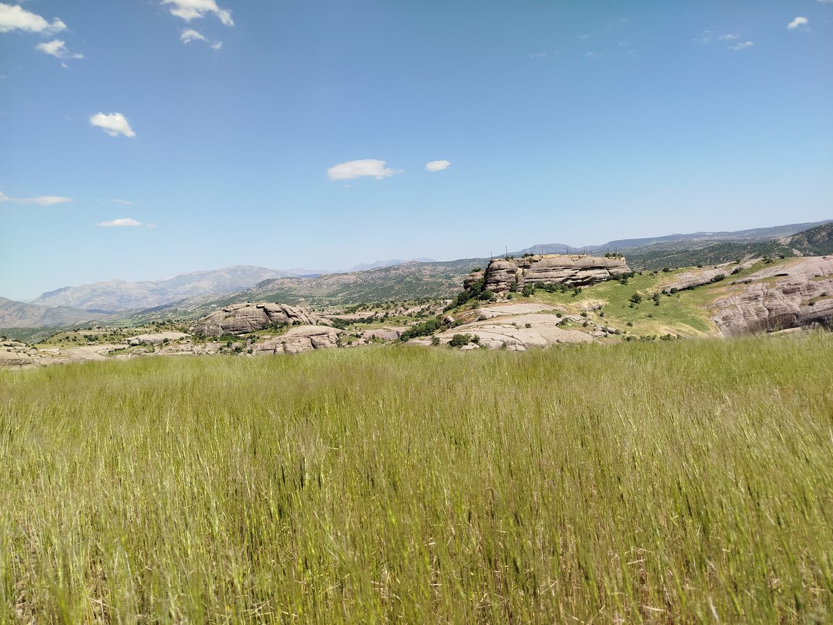 Biraz doğa, biraz memleket, biraz kulp.