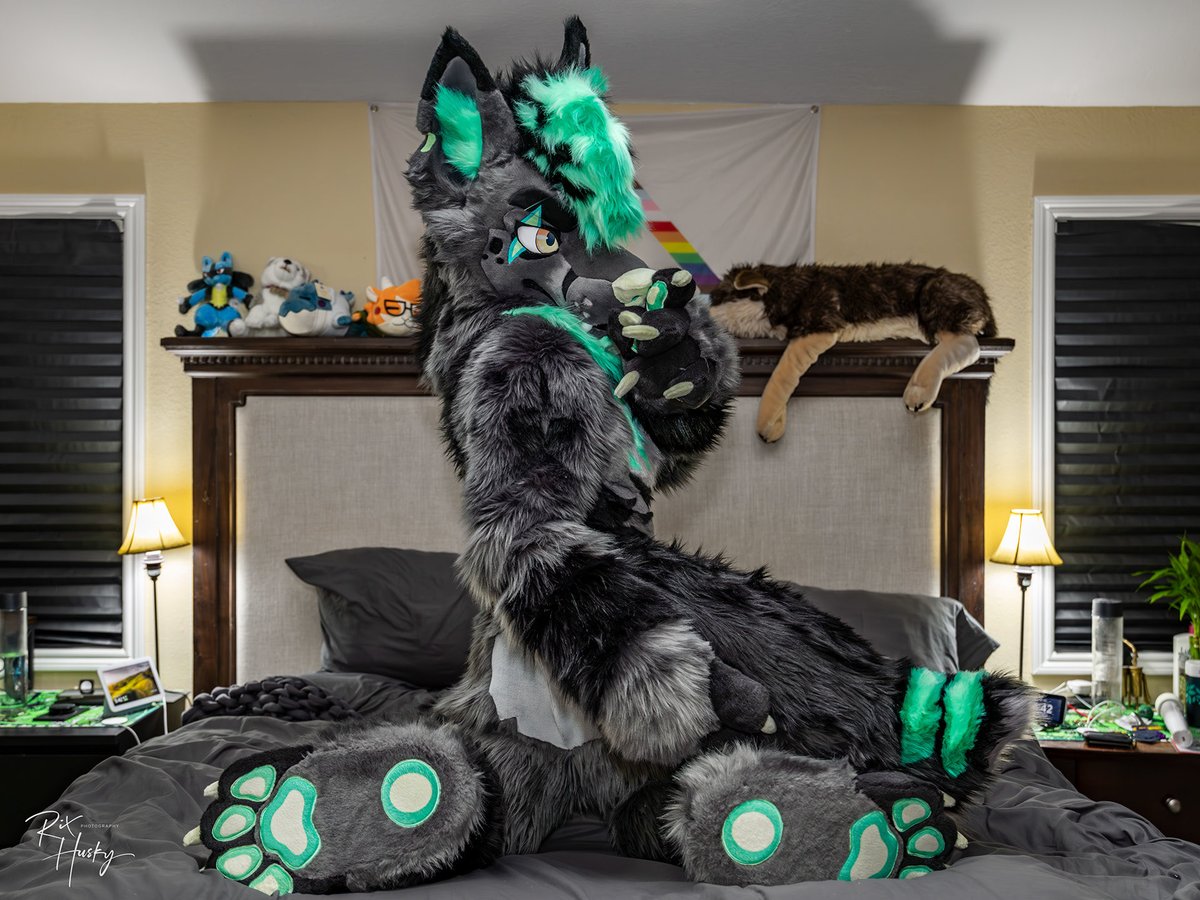 It’s #PawDay !  Come on in and inspect these beans. 

📸: <a href="/RixHusky/">Rix</a> 
🪡: <a href="/kigurumikagetsu/">きぐるみ花月/Kigurumi Kagetsu</a>