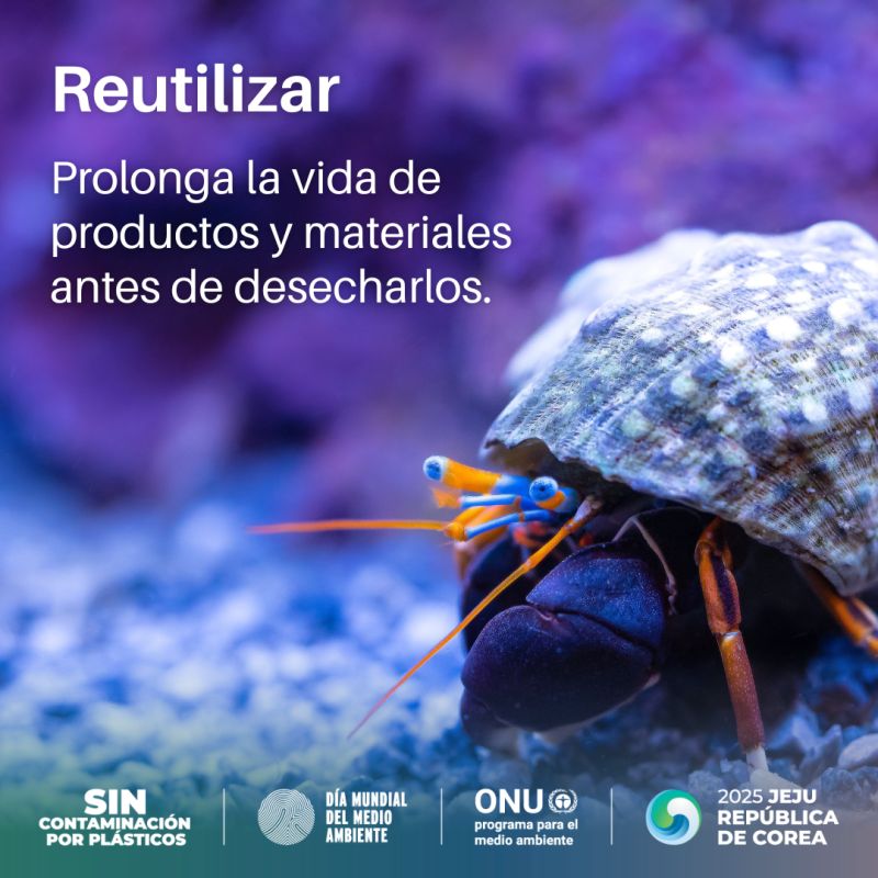 En vísperas del Día del Día Mundial del Medio Ambiente (el próximo 5 de junio) desde Fundación Aguas trabajamos todos los dias para cuidar el recurso a través de -por ejemplo- la reutilización de las aguas grises para el riego y la limpieza.¿Y vos? ¿Cómo cuidás el agua?