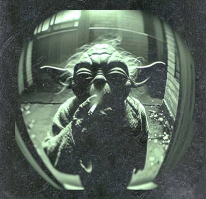 Mr_OK 🙏 tweet media