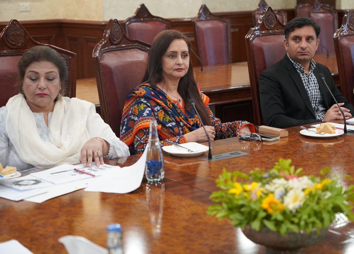 PunjabSDGsUnit's tweet image. Facilitated by @PunjabSDGsUnit Project Manager @amaneconomist, the Taskforce briefing featured the SDGs progress in Punjab and #SDGsPlusProgramme as the way forward, aiming to ensure informed policymaking for the collective impact of development initiatives in the province. 2/2
