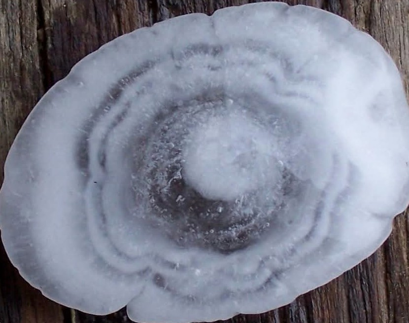 MichaelJBrown71's tweet photo. @ryanhallyall can you please explain why there are rings inside a hail stone, I sliced one open and noticed this, thanks https://t.co/PQeayEZOHU