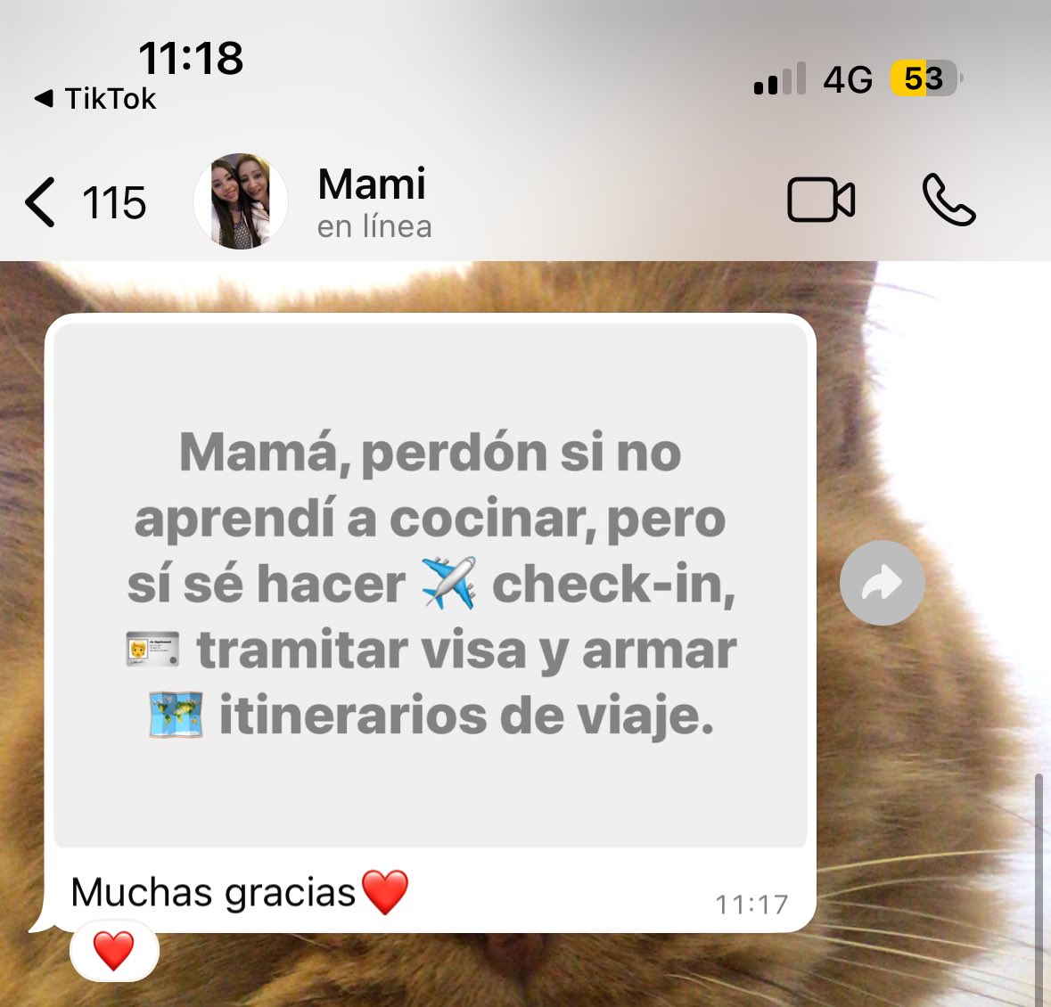JuanaRuedaD's tweet photo. Lo importante es que mi mamá tiene claro el tipo de hija que crío https://t.co/L17EJTaOQQ