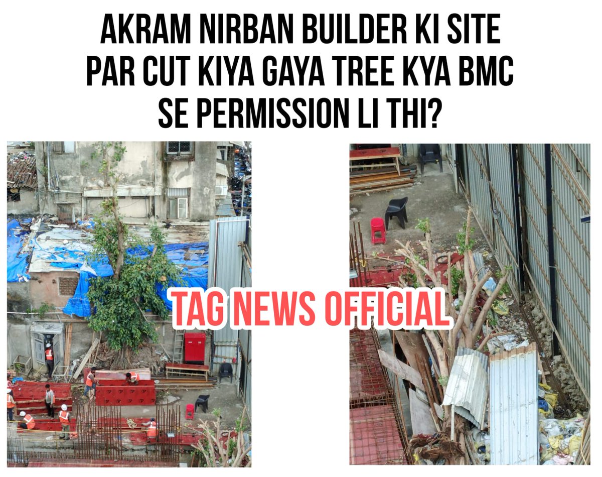 tagnewsofficial's tweet photo. "A tree was cut at Byculla’s Kela Market for private construction. Was BMC permission taken? Under the Maharashtra Tree Act, cutting trees without approval is a criminal offense. The law is equal for all ." Add -Ganesh hari Pandurang Marg Byculla West Akram Nirban Builder  @mybmc https://t.co/oB1fqsED7W