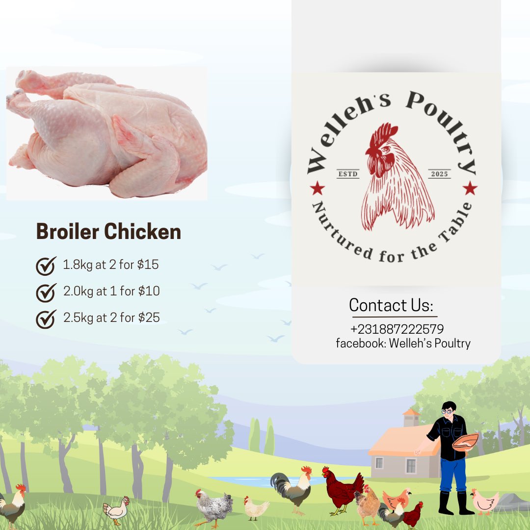 KamaraShamy's tweet photo. Your please promote my small business yeh… broilers will be slaughtered, cleaned and packaged before delivery. https://t.co/xj8ZEnVFix