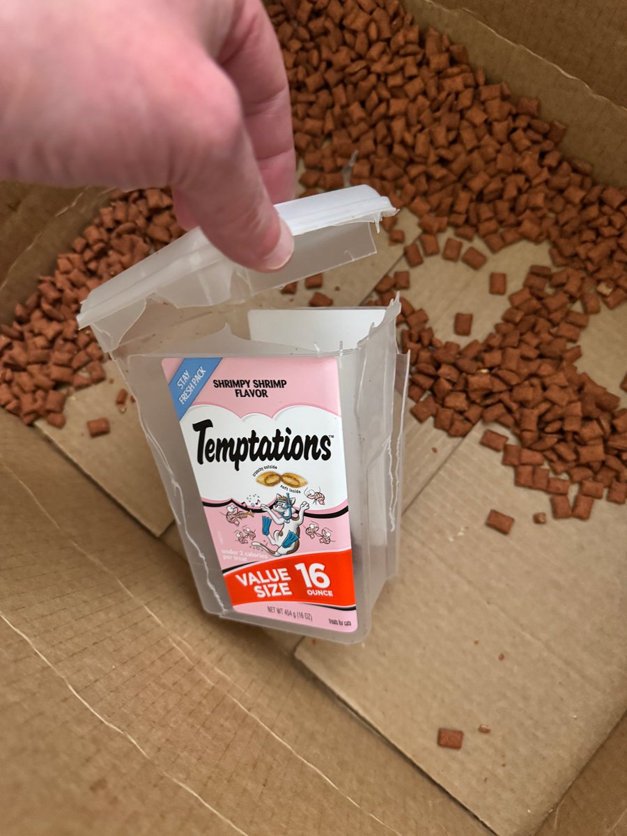 dachilders's tweet photo. @AmazonHelp 2 orders in a row now some absolute dumbass thought it would be a good idea to put a flimsy plastic container of cat treats in the same box as multiple cases of canned cat food. Now I'm not sure who's stupider, you or me. You keep doing this, but I keep paying for it. https://t.co/fBcAoQhhM5