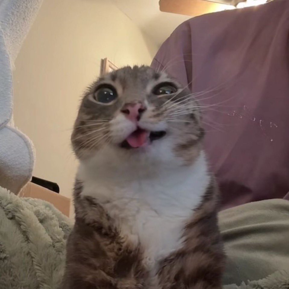 Me pretending I don’t see my tank preferring Dva, so I can ban her. 

- Nerf Dva Console