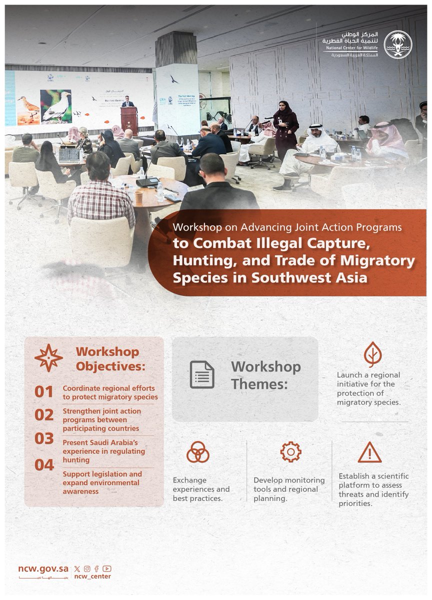 المركز الوطني لتنمية الحياة الفطرية (@ncw_center) on Twitter photo NCW, in collaboration with <a href="/BonnConvention/">Convention on Migratory Species (CMS)</a>, organized a regional workshop to coordinate efforts to protect migratory species and combat illegal hunting, capture, and trade. The workshop supports Saudi Arabia’s efforts to enhance regional cooperation.
#NurturedByNature NCW, in collaboration with <a href="/BonnConvention/">Convention on Migratory Species (CMS)</a>, organized a regional workshop to coordinate efforts to protect migratory species and combat illegal hunting, capture, and trade. The workshop supports Saudi Arabia’s efforts to enhance regional cooperation.
#NurturedByNature