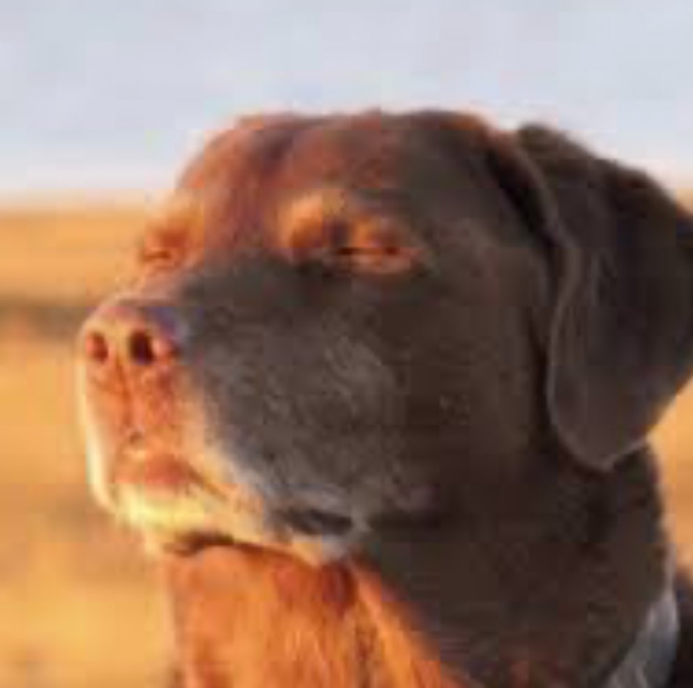 They opened the Annabelle Box.. And.. And took her out of it.. Alright.