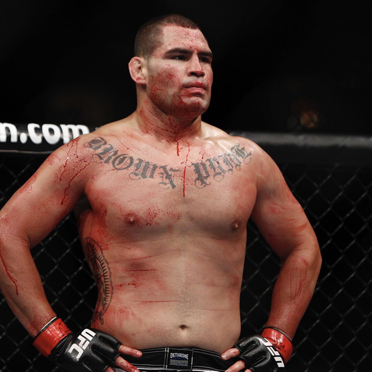 ACD MMA tweet media