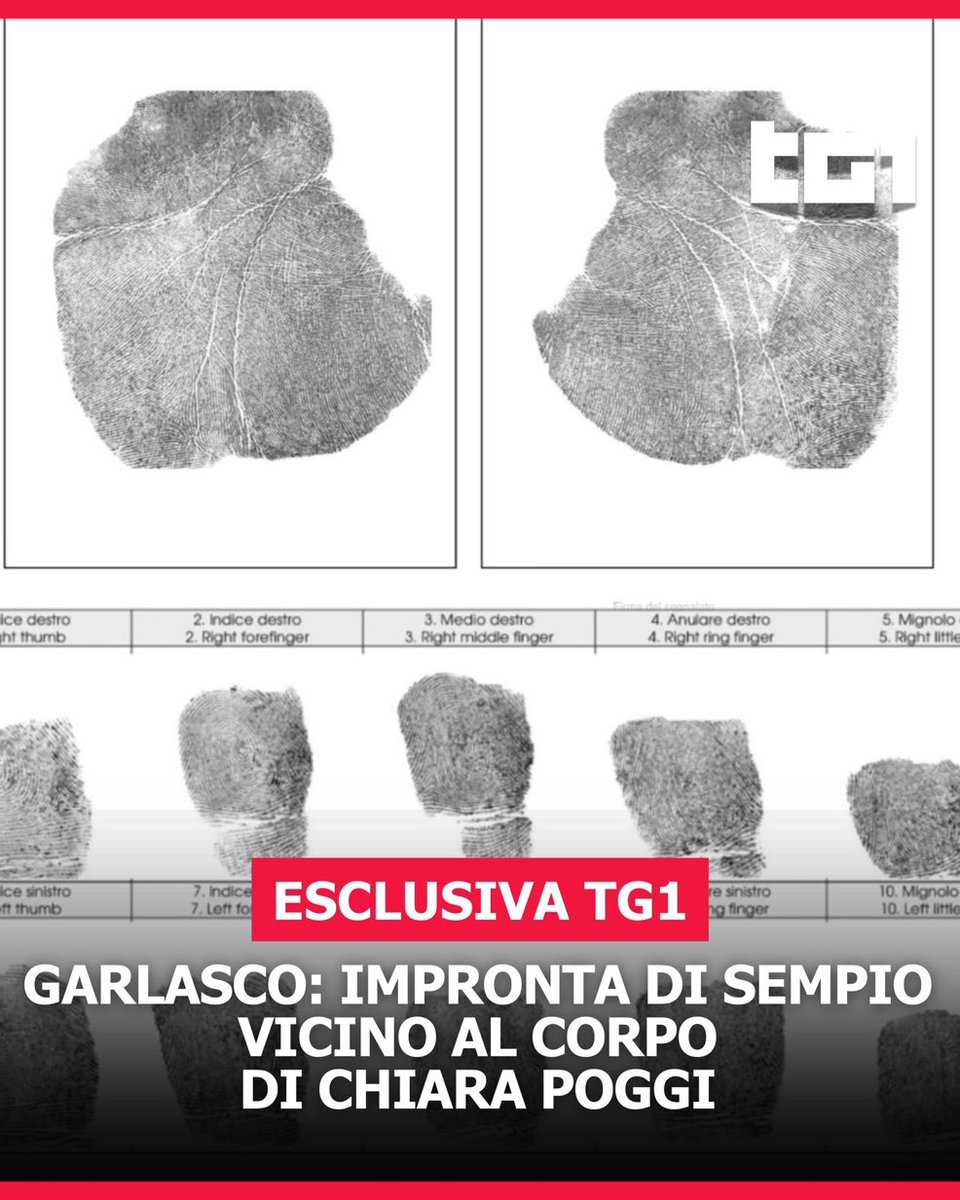 bearbops's tweet photo. Comunque Bossetti è in carcere per molto meno, di Sempio abbiamo sia il DNA che le impronte ed è libero a fare il Bad Guy con la Taccia #garlasco #chiarapoggi https://t.co/eD1AVs351G
