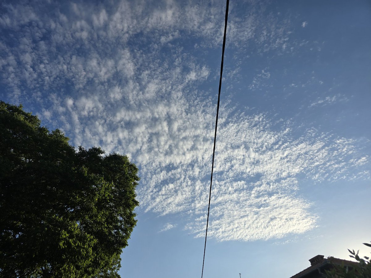 Ⓜ️arti🦋🐠🐦 tweet media