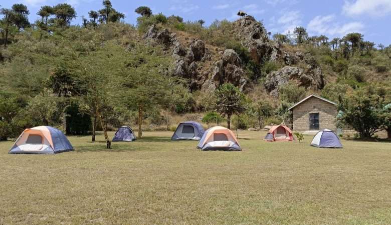 🏕Paul’s Camp Kongoni Aiming To Change Camping In Naivasha
kenyanvibe.com/pauls-camp-kon…