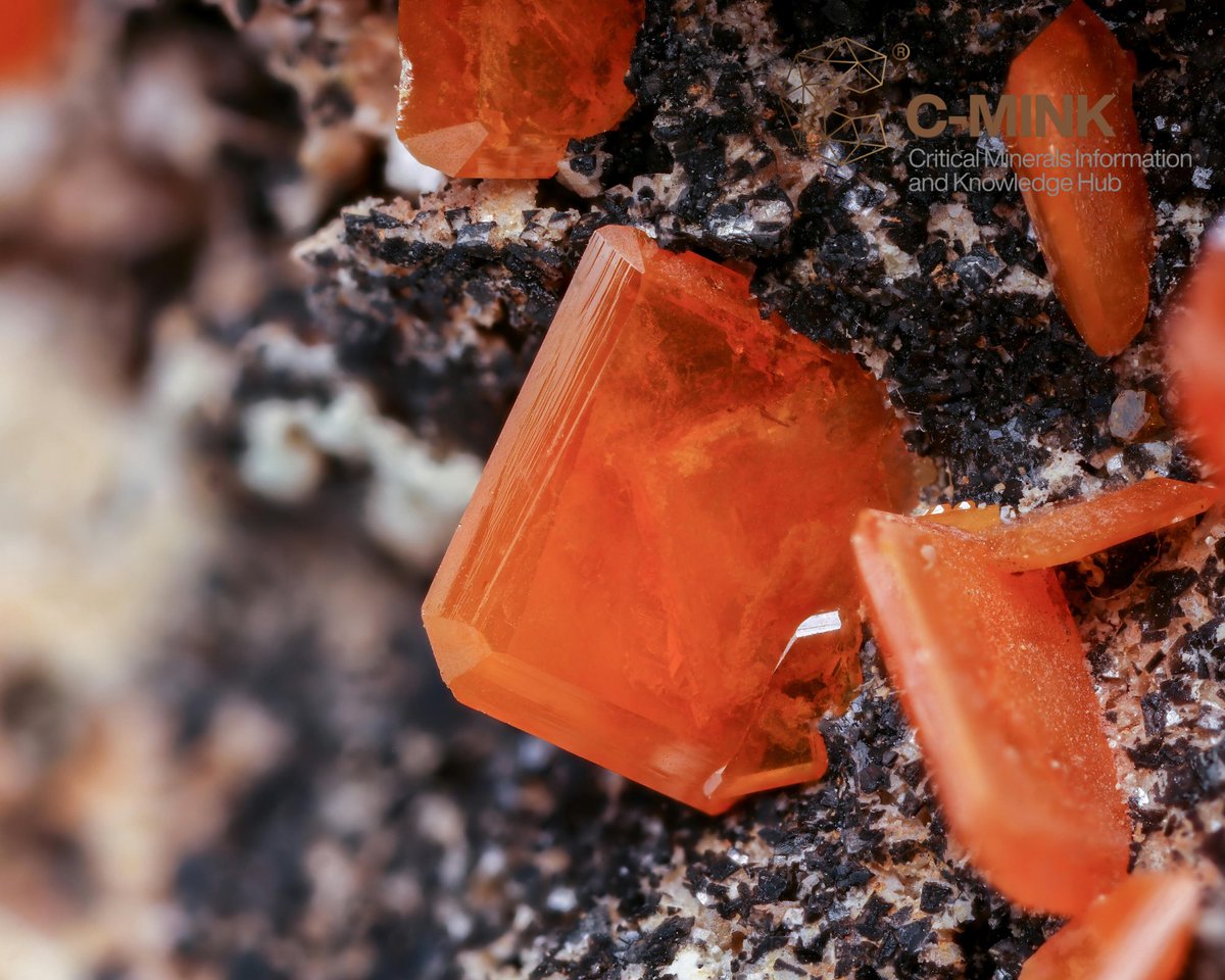 UNUINRA's tweet photo. With nearly a third of the world’s critical minerals needed for the global energy transition, Africa is at vantage point.
This natural resource endowment puts the continent in the driving seat:to leverage both its industrial & economic transformations.
#CMINK #CriticalMinerals https://t.co/temLrDIKAP